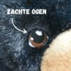Zwarte Beer Re-PETs (Maat M) - Afbeelding 3