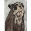 Wij, beren - Afbeelding 6