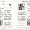 Wij, beren - Afbeelding 10