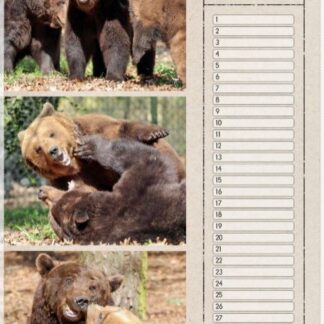 Kalenders, zegels en kaarten