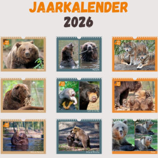 Jaarkalender 2026